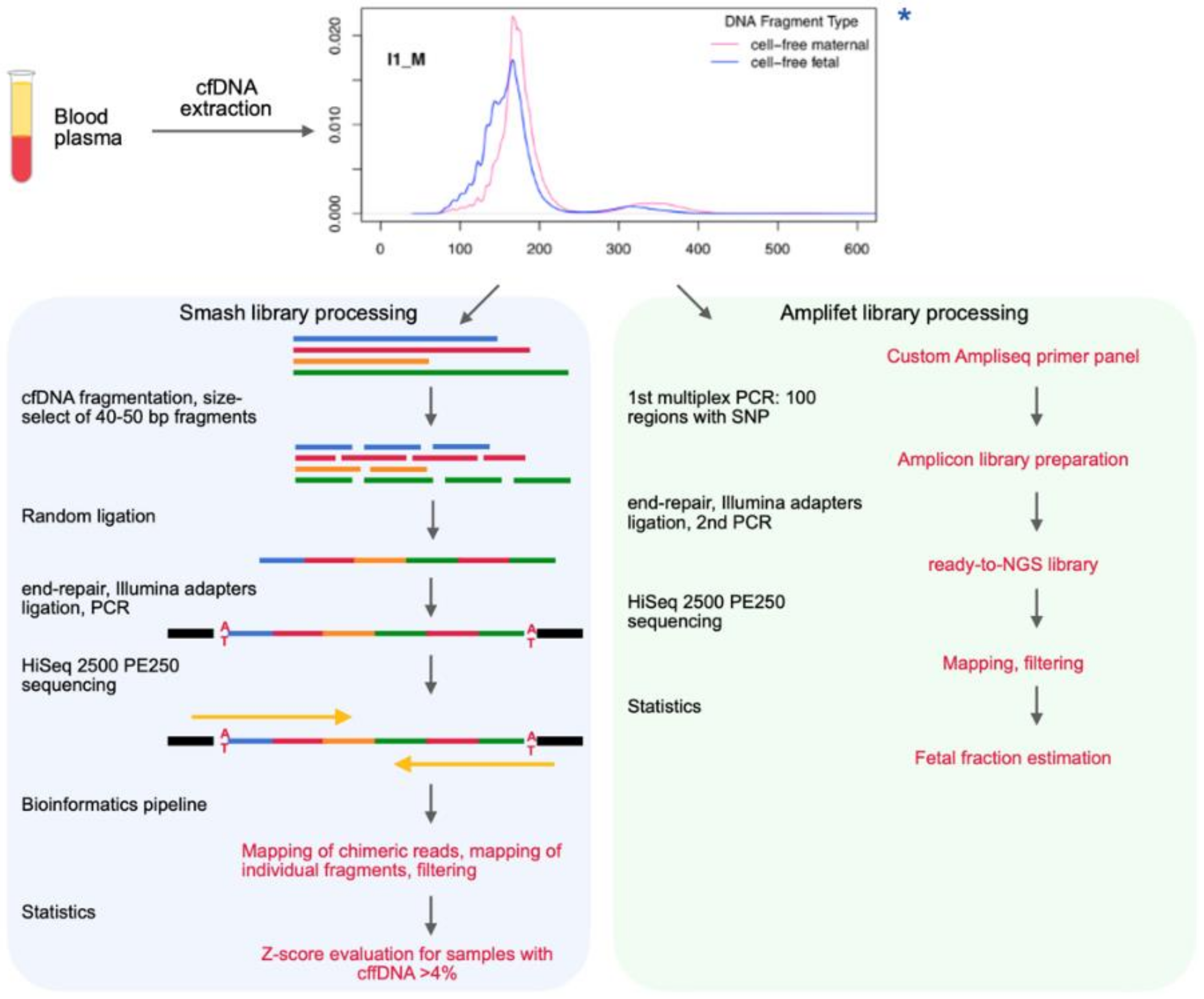 nippyfile ss nita NIPT Technique Based on the Use of Long Chimeric DNA Reads